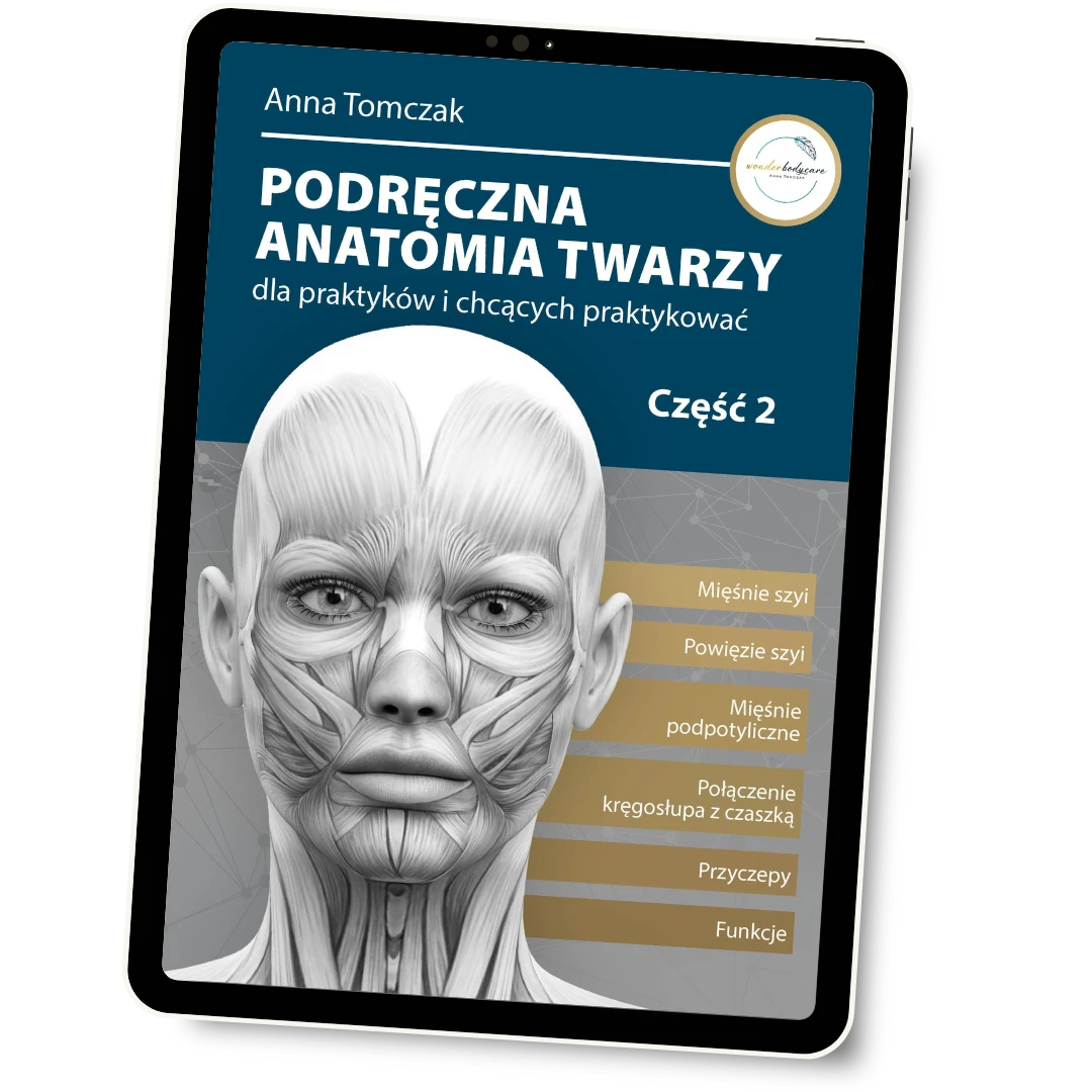 Ebook Podręczna Anatomia Twarzy zestaw cz.1 i cz.2 3 Ebook Podręczna Anatomia Twarzy zestaw cz.1 i cz.2 - obrazek 3