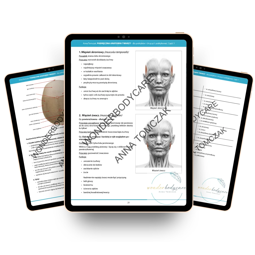 Ebook Podręczna Anatomia Twarzy zestaw cz.1 i cz.2 4 Ebook Podręczna Anatomia Twarzy zestaw cz.1 i cz.2 - obrazek 4