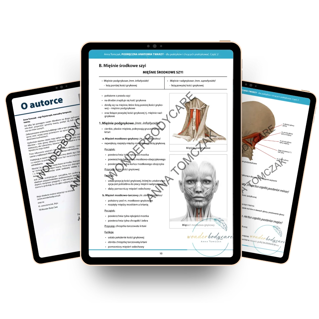Ebook Podręczna Anatomia Twarzy zestaw cz.1 i cz.2 5 Ebook Podręczna Anatomia Twarzy zestaw cz.1 i cz.2 - obrazek 5